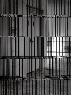 Metal Window and Door Screen