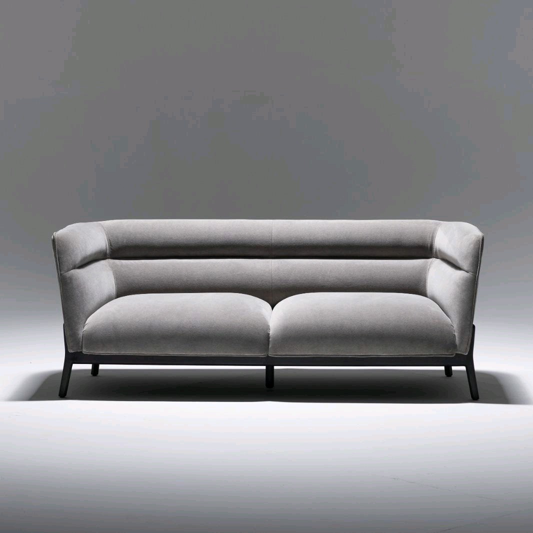 Leisure Sofa