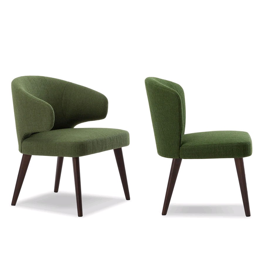 Leisure Chair