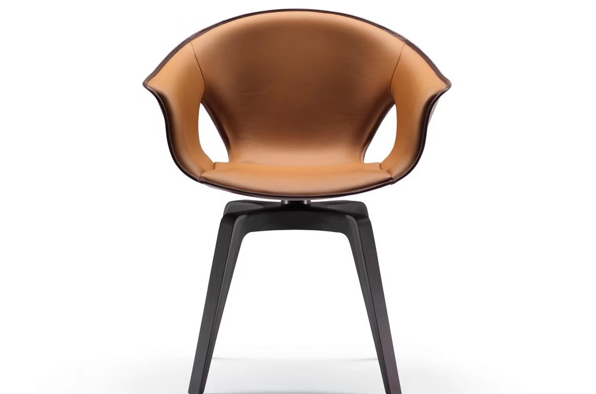 Leisure Chair
