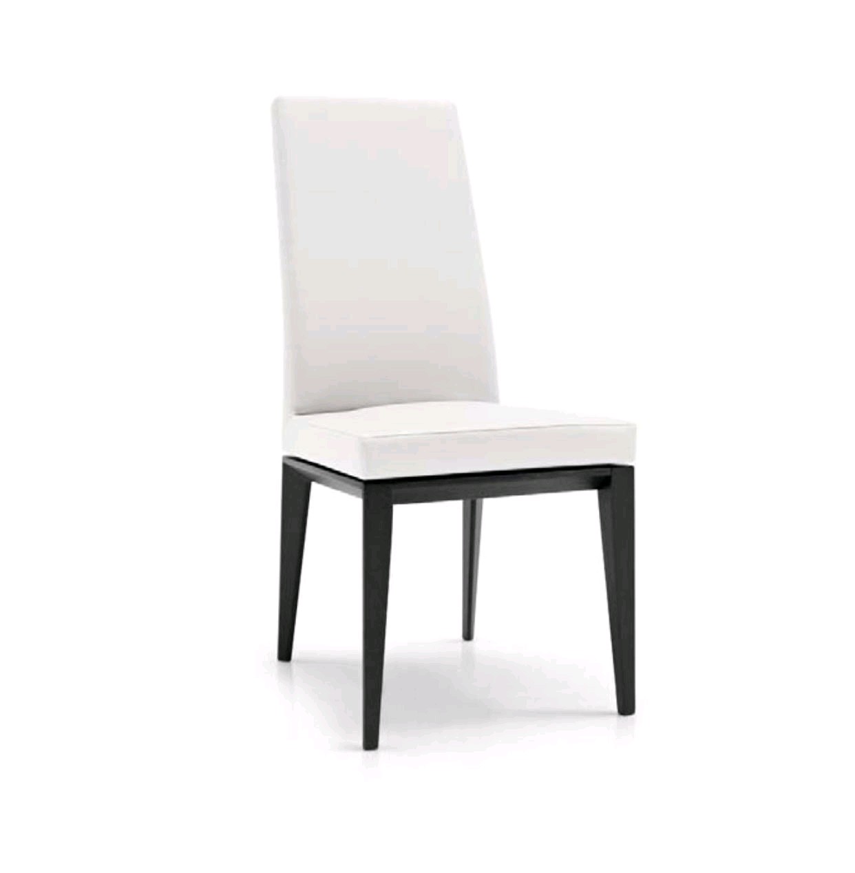 Leisure Chair