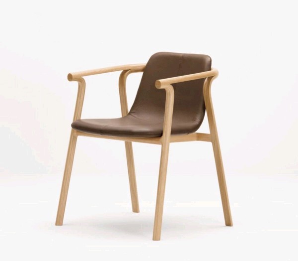 Leisure Chair