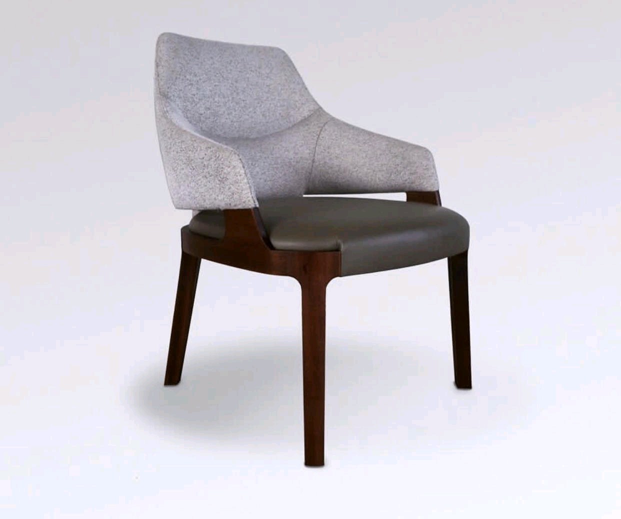 Leisure Chair