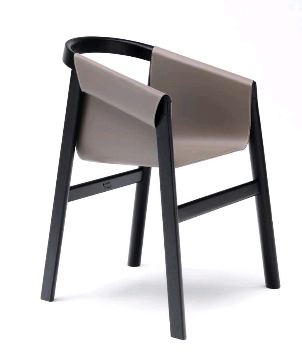Leisure Chair
