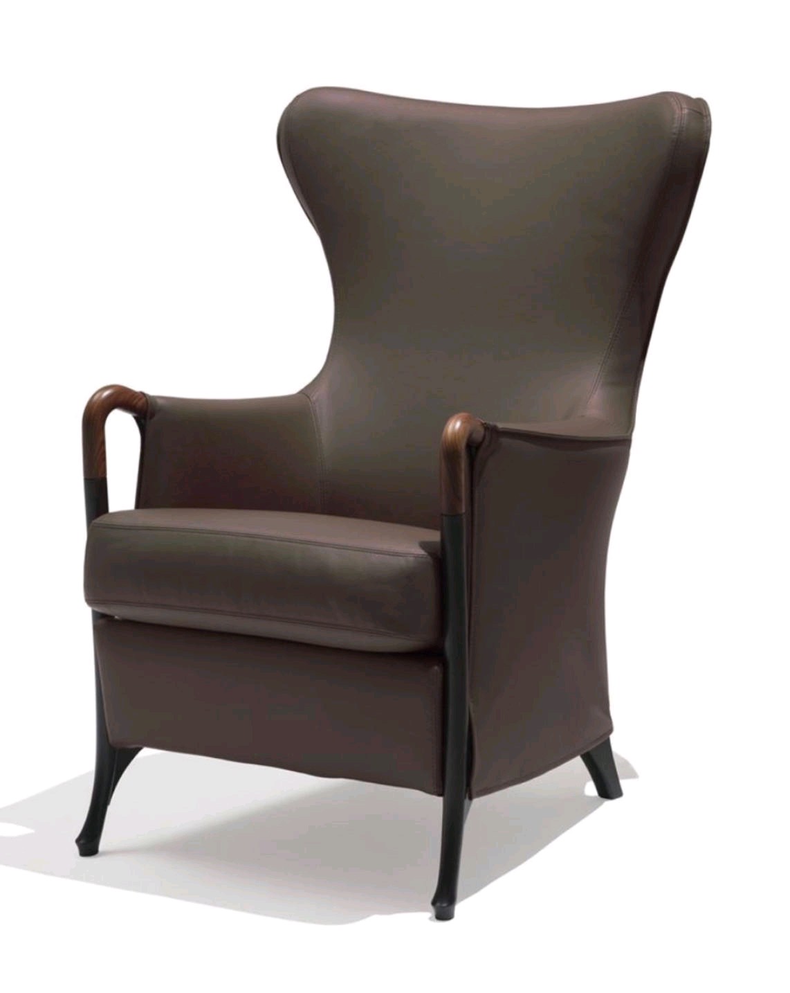 Leisure Chair