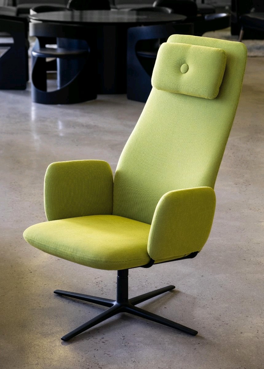 Leisure Chair