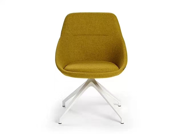Leisure Chair