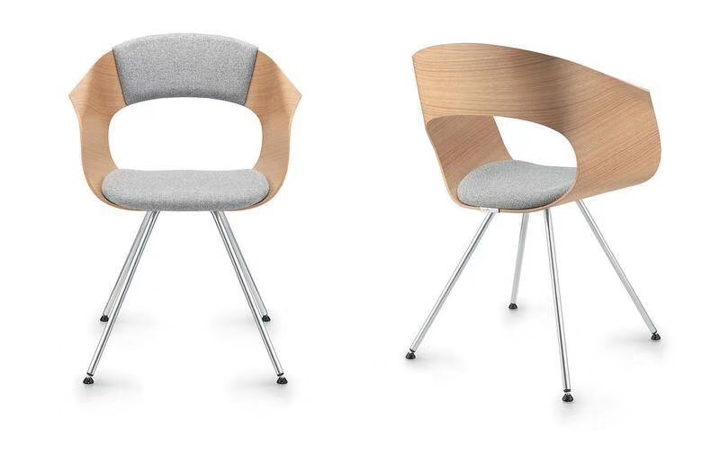 Leisure Chair