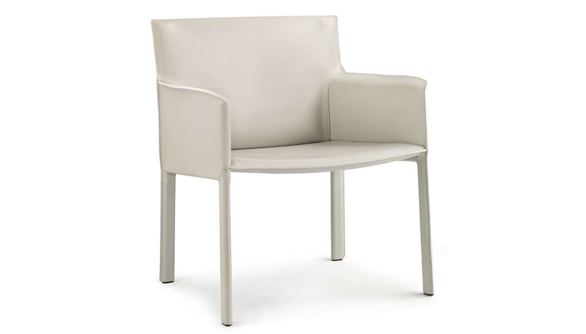 Leisure Chair