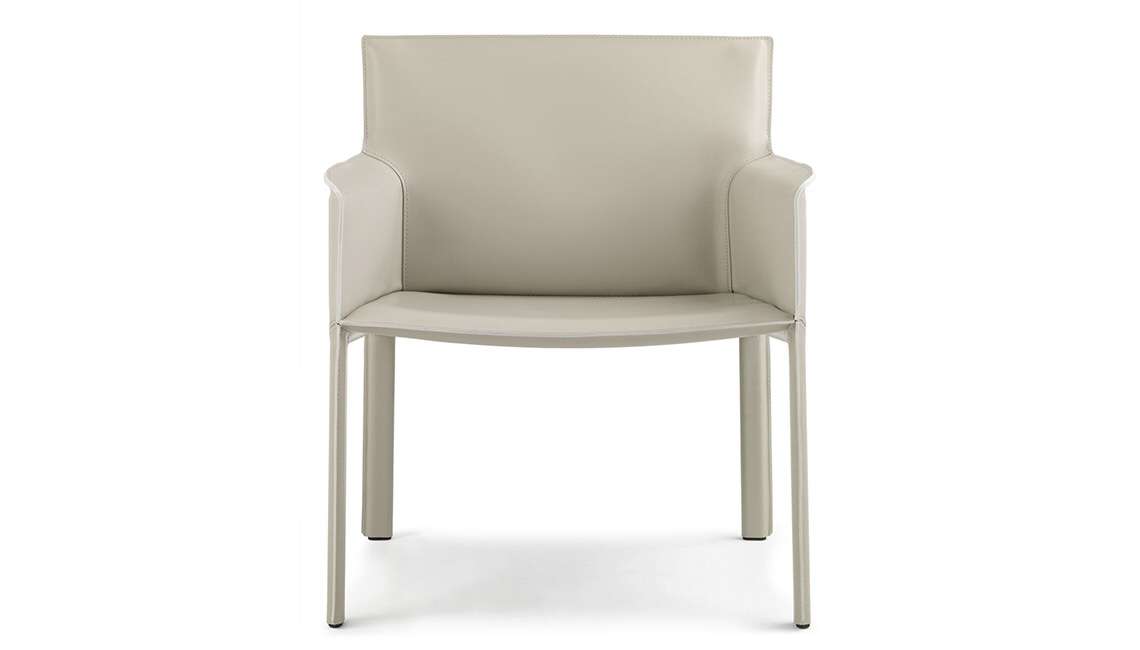 Leisure Chair